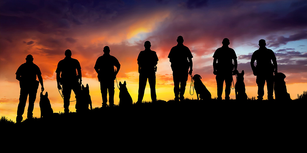 Officers and dogs at sunset